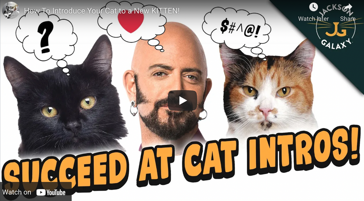 Screenshot_20220305_at_15.19.57_1200x1200.png?v=1646493619