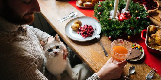 Fun Ideas for a Christmas Lunch for Your Cat