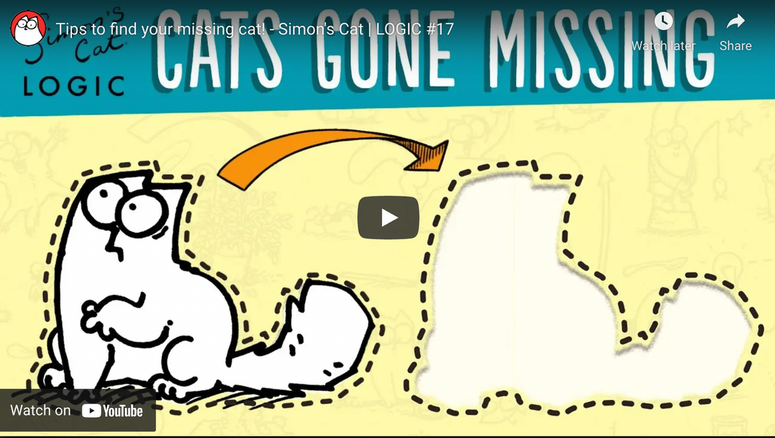 How To Get My Cat To Come Home?