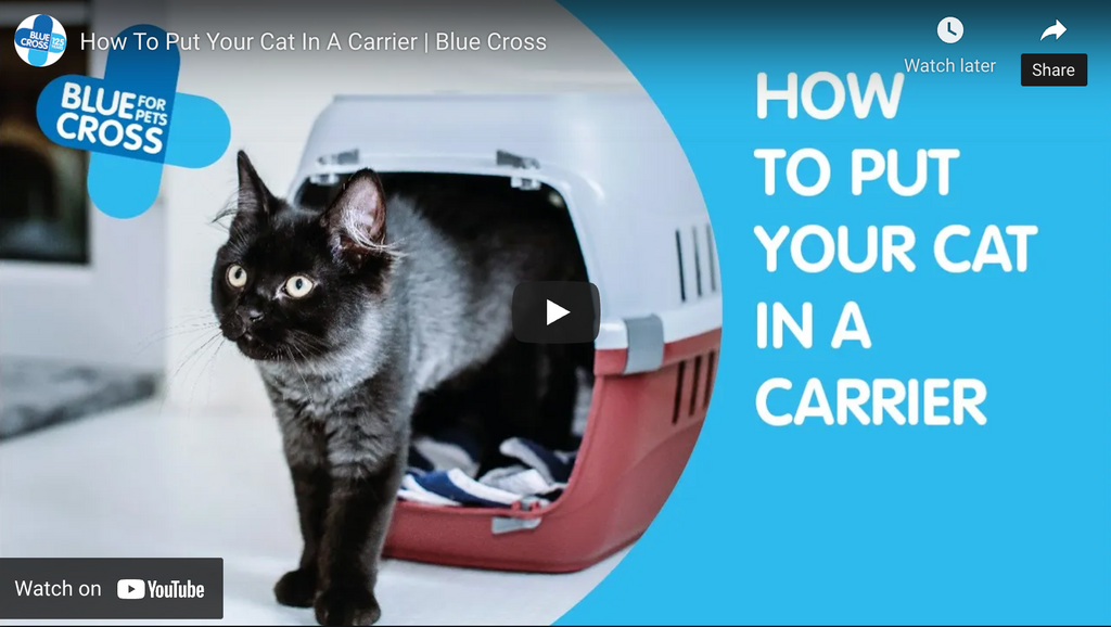 How To Get Your Cat Into A Carrier?