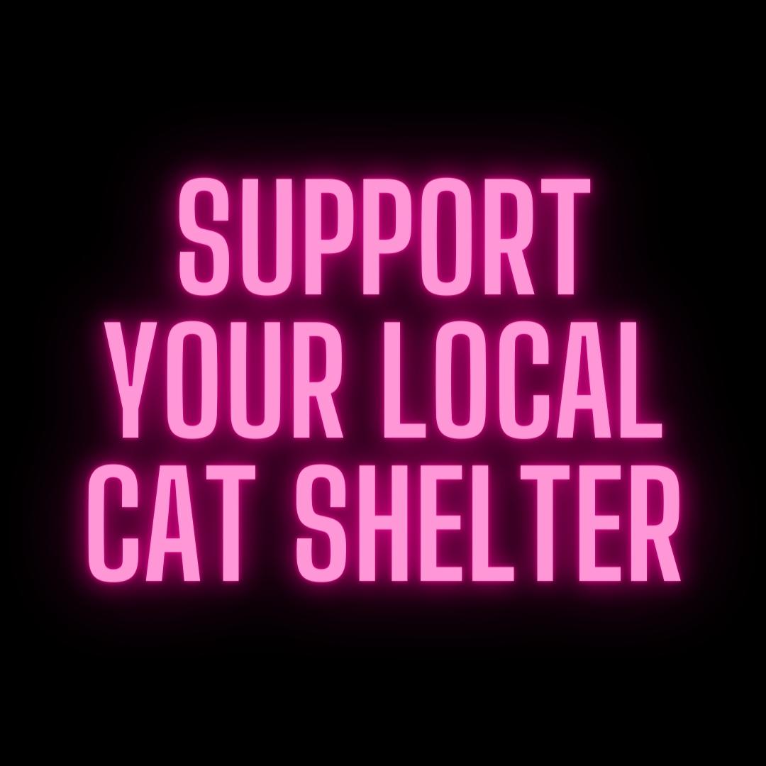 How to Support Local Cat Shelters and Rescue Organizations