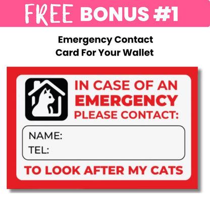 Mug, spoon and free bonuses for cat lovers and cat moms. Perfect gift for cat ladies