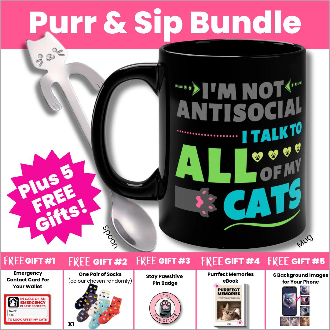 purr and sip bundle for cat ladies