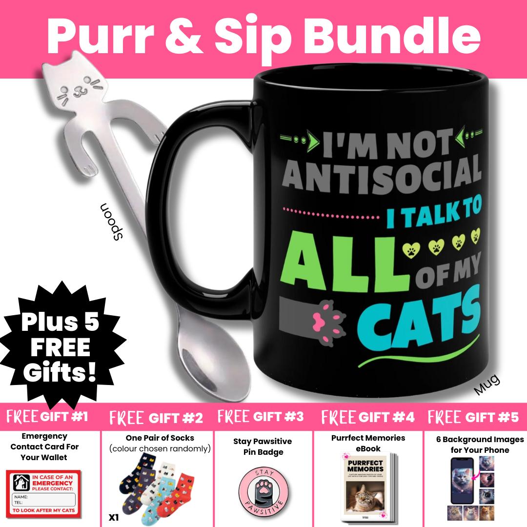 Mug, spoon and free bonuses for cat lovers and cat moms. Perfect gift for cat ladies