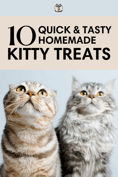 gifts for cat people