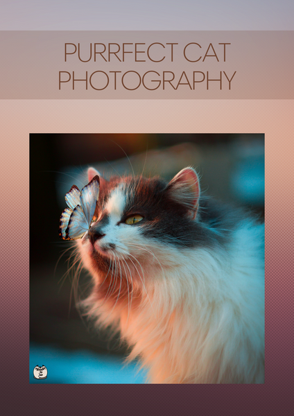 Purrfect Cat Photography