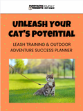 LEASH TRAIN YOUR CAT